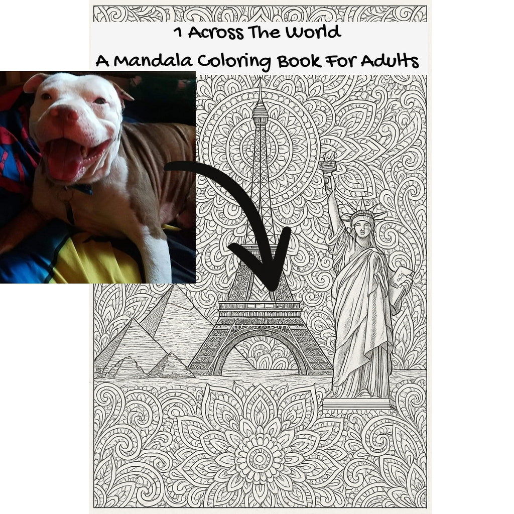 1 Across The World: A Mandala Coloring Book For Adults