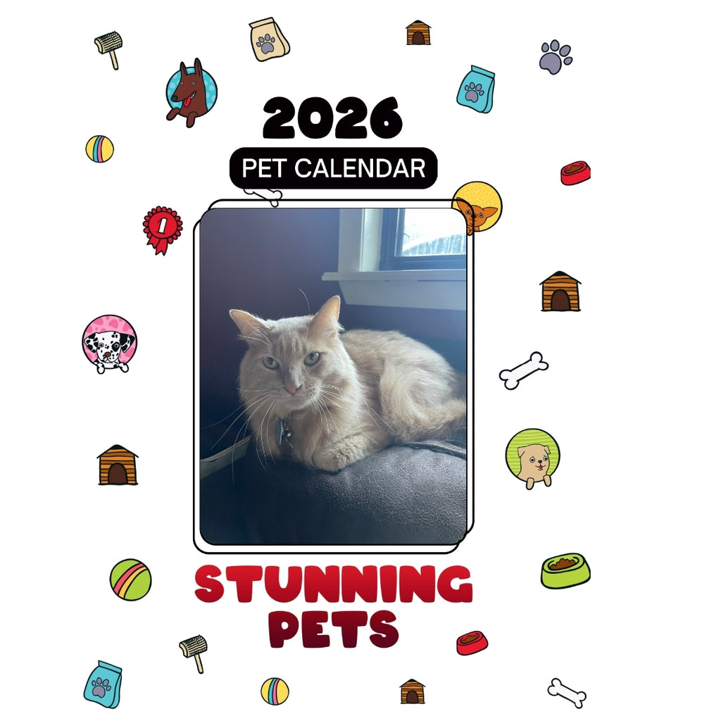 Maine Coon Headlines Stunning Pets: A 2026 Pet Calendar