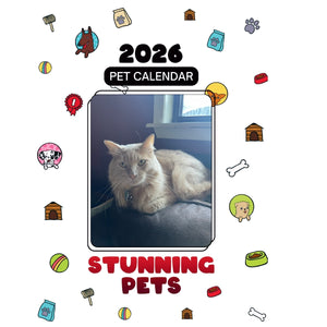 Maine Coon Headlines Stunning Pets: A 2026 Pet Calendar