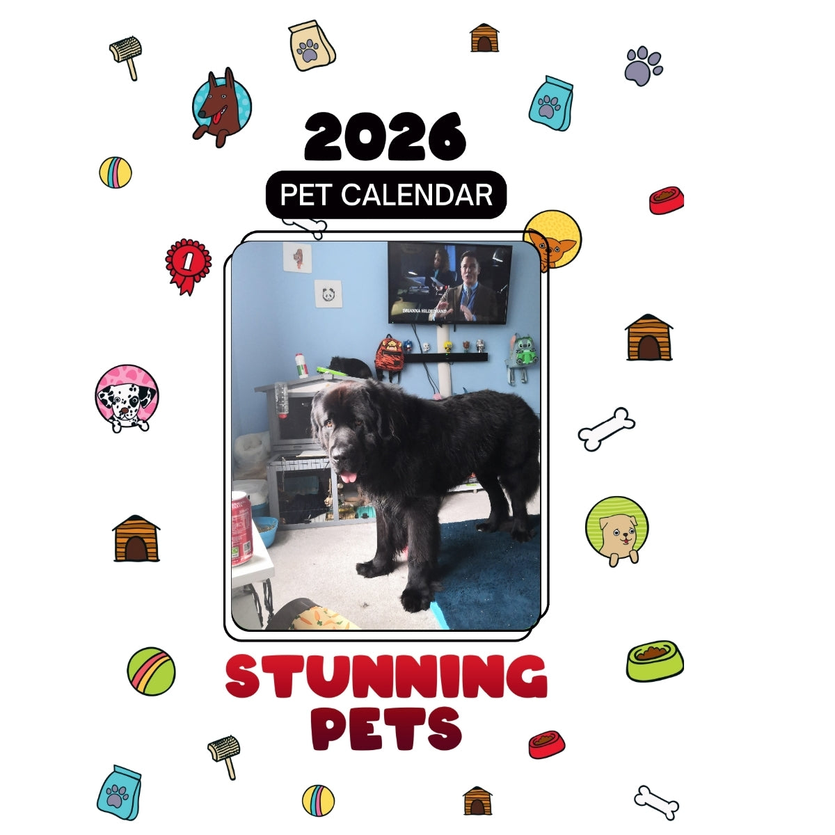 2 Headlines Stunning Pets: A 2026 Pet Calendar