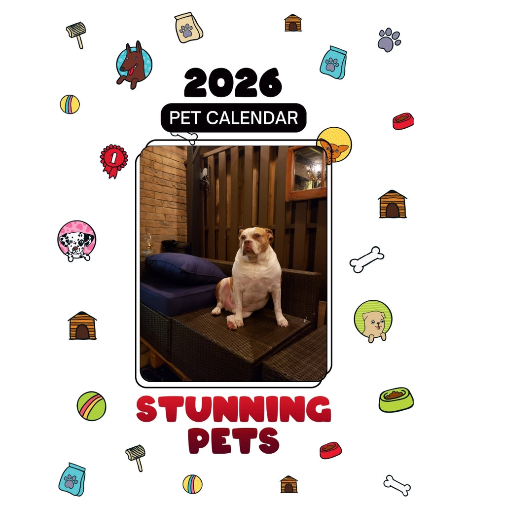 1 Headlines Stunning Pets: A 2026 Pet Calendar