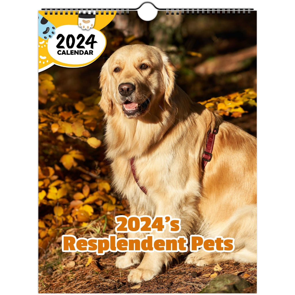2024's Resplendent Pets: 2024 Wall Calendar (Published)
