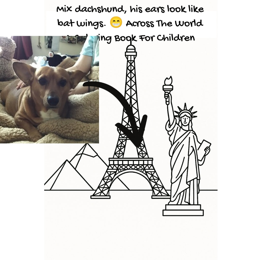 Mix dachshund, his ears look like bat wings. 😁 Across The World: A Coloring Book For Children