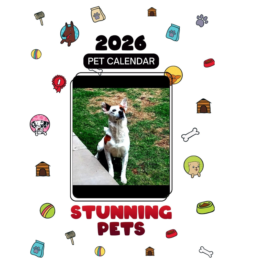 2 Headlines Stunning Pets: A 2026 Pet Calendar