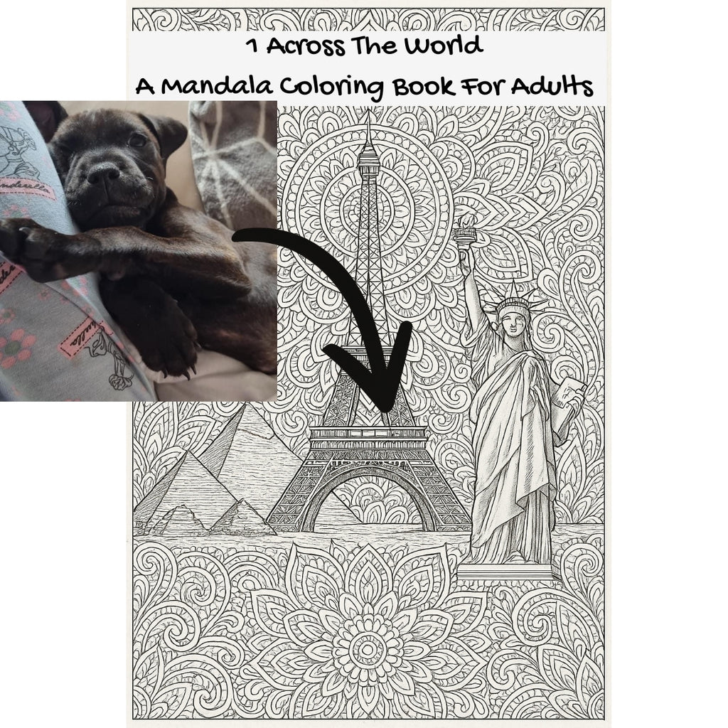 1 Across The World: A Mandala Coloring Book For Adults