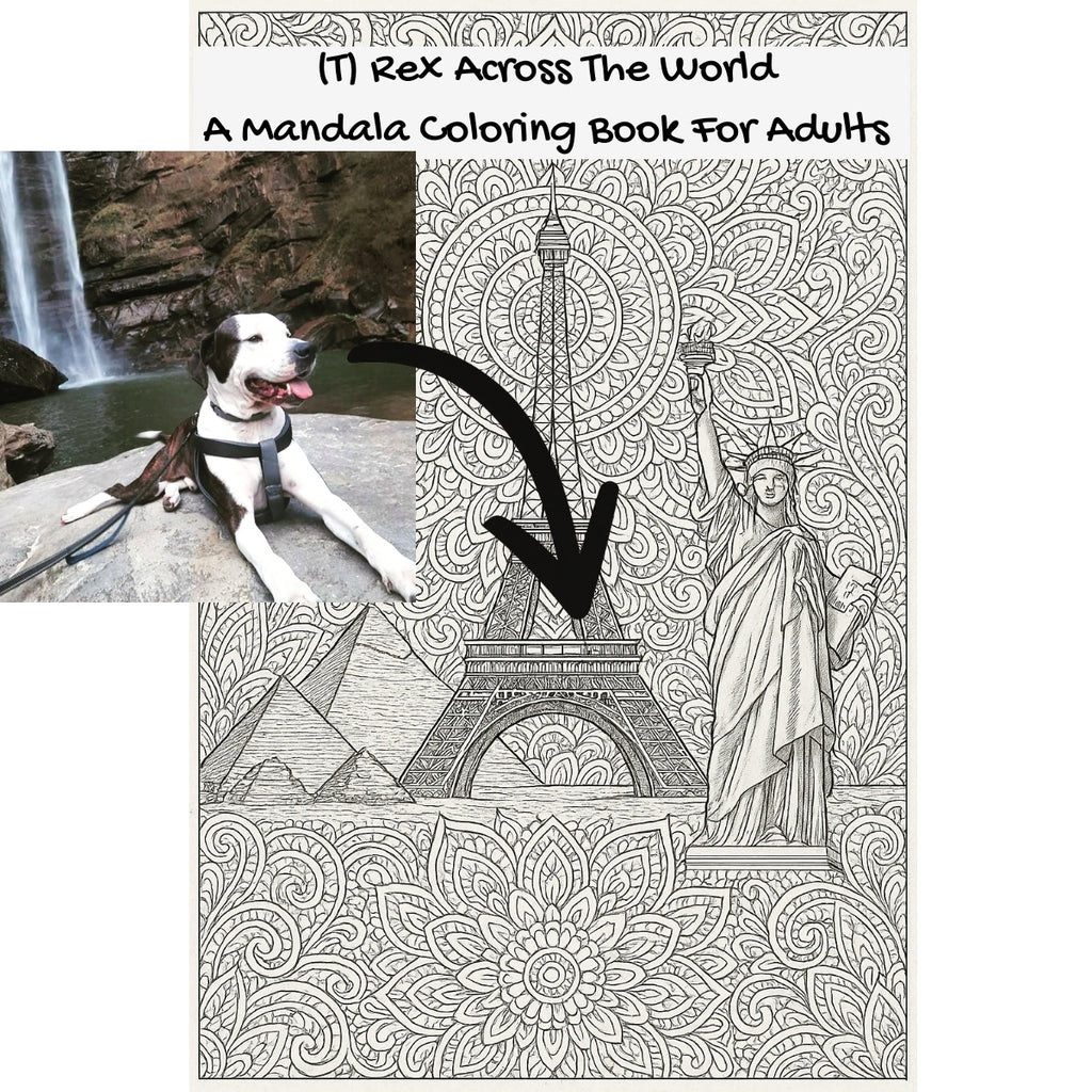 (T) Rex Across The World: A Mandala Coloring Book For Adults