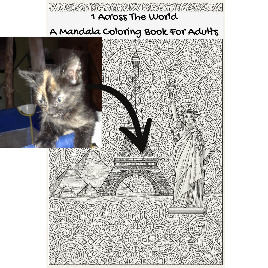 1 Across The World: A Mandala Coloring Book For Adults