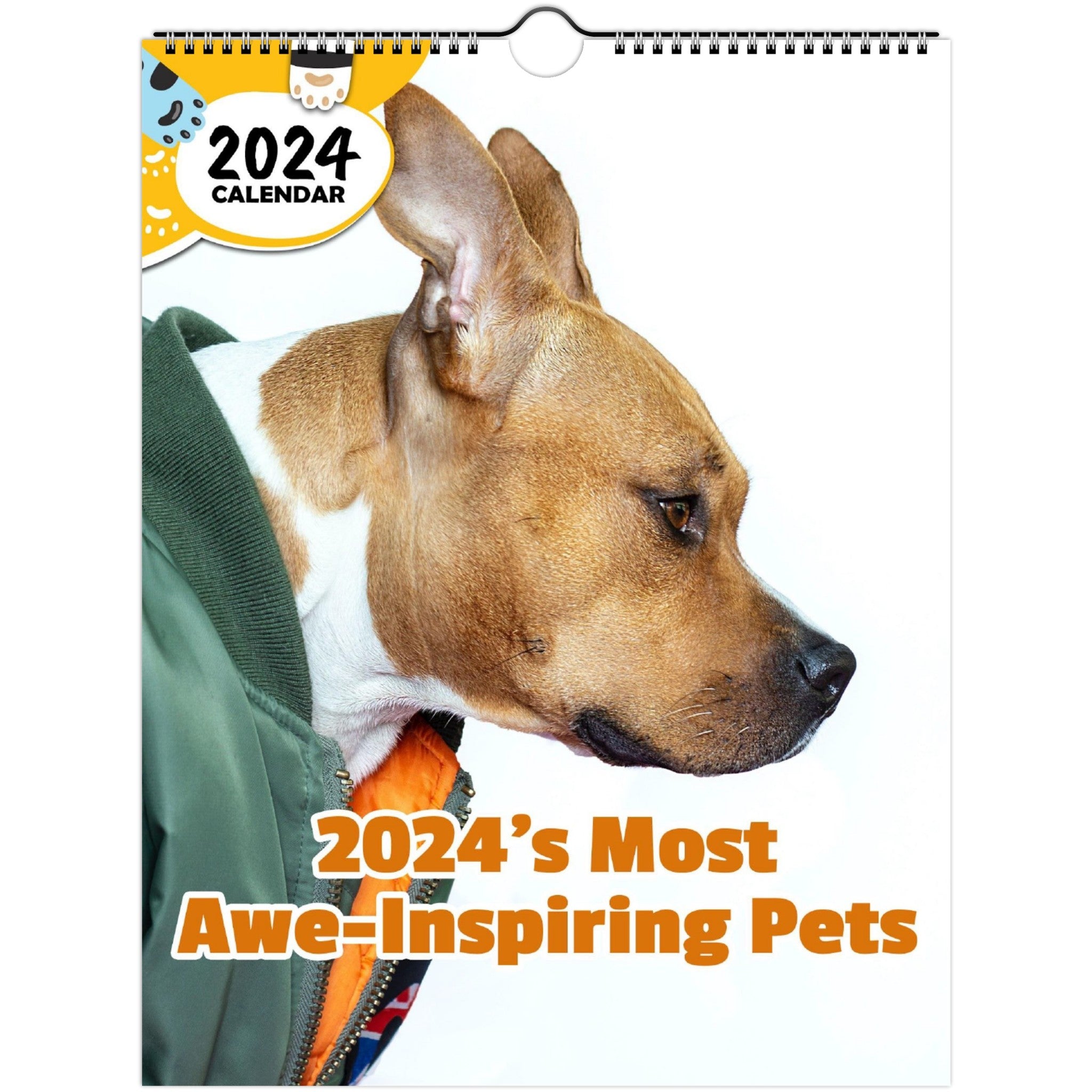 2024's Most Awe-Inspiring Pets: 2024 Wall Calendar (Published)