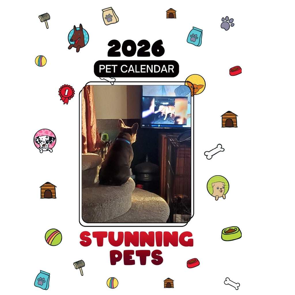 French Bulldogs Headlines Stunning Pets: A 2026 Pet Calendar