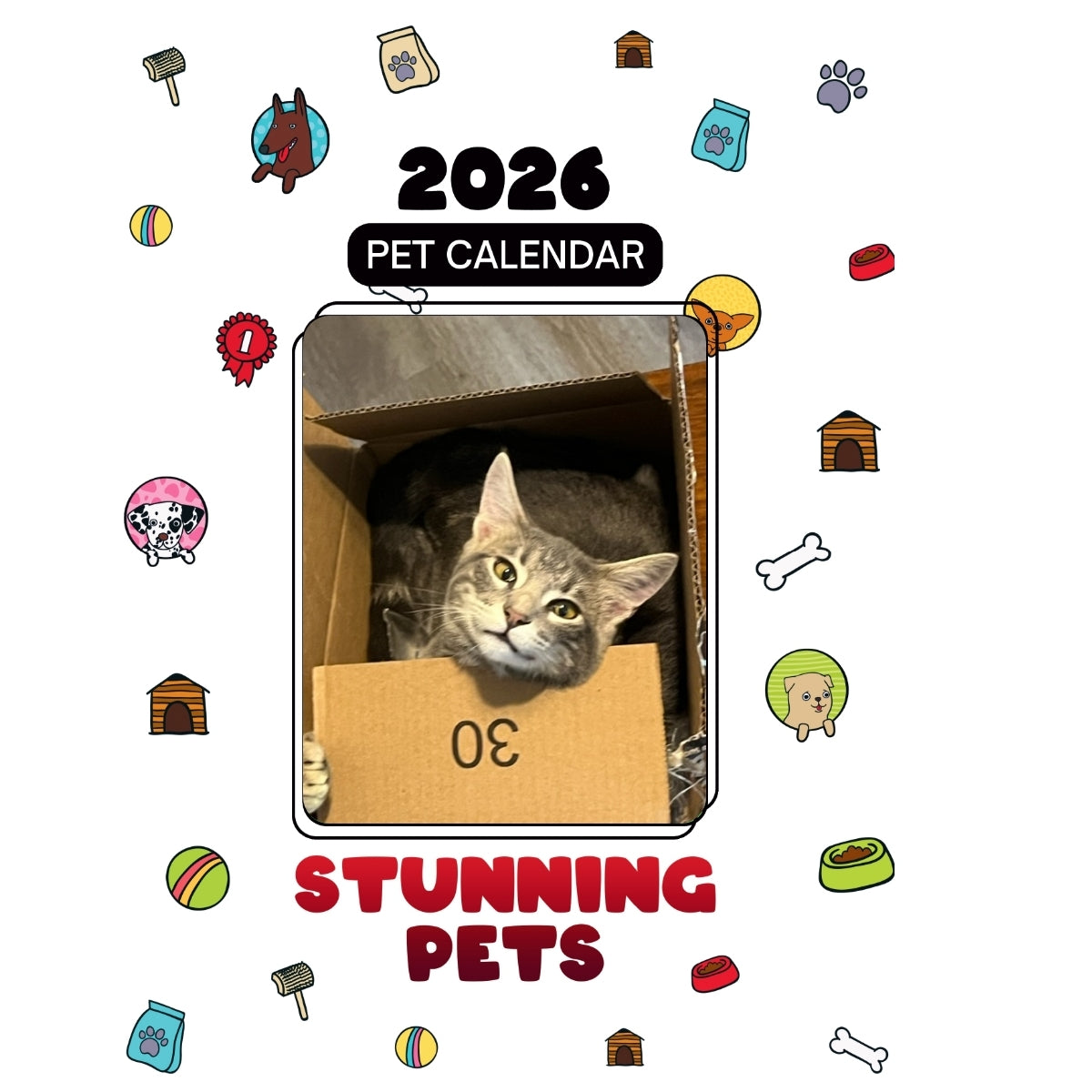 2Milo Headlines Stunning Pets: A 2026 Pet Calendar