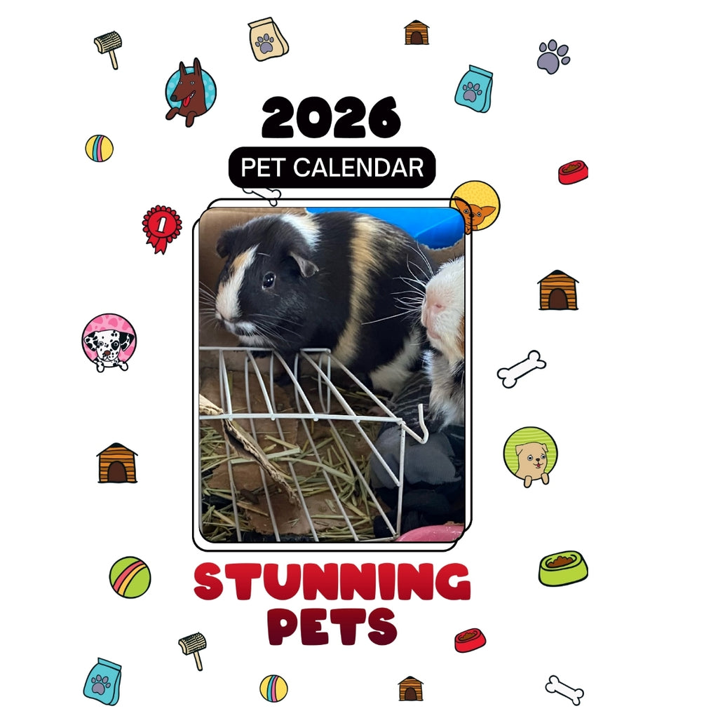 3 Headlines Stunning Pets: A 2026 Pet Calendar