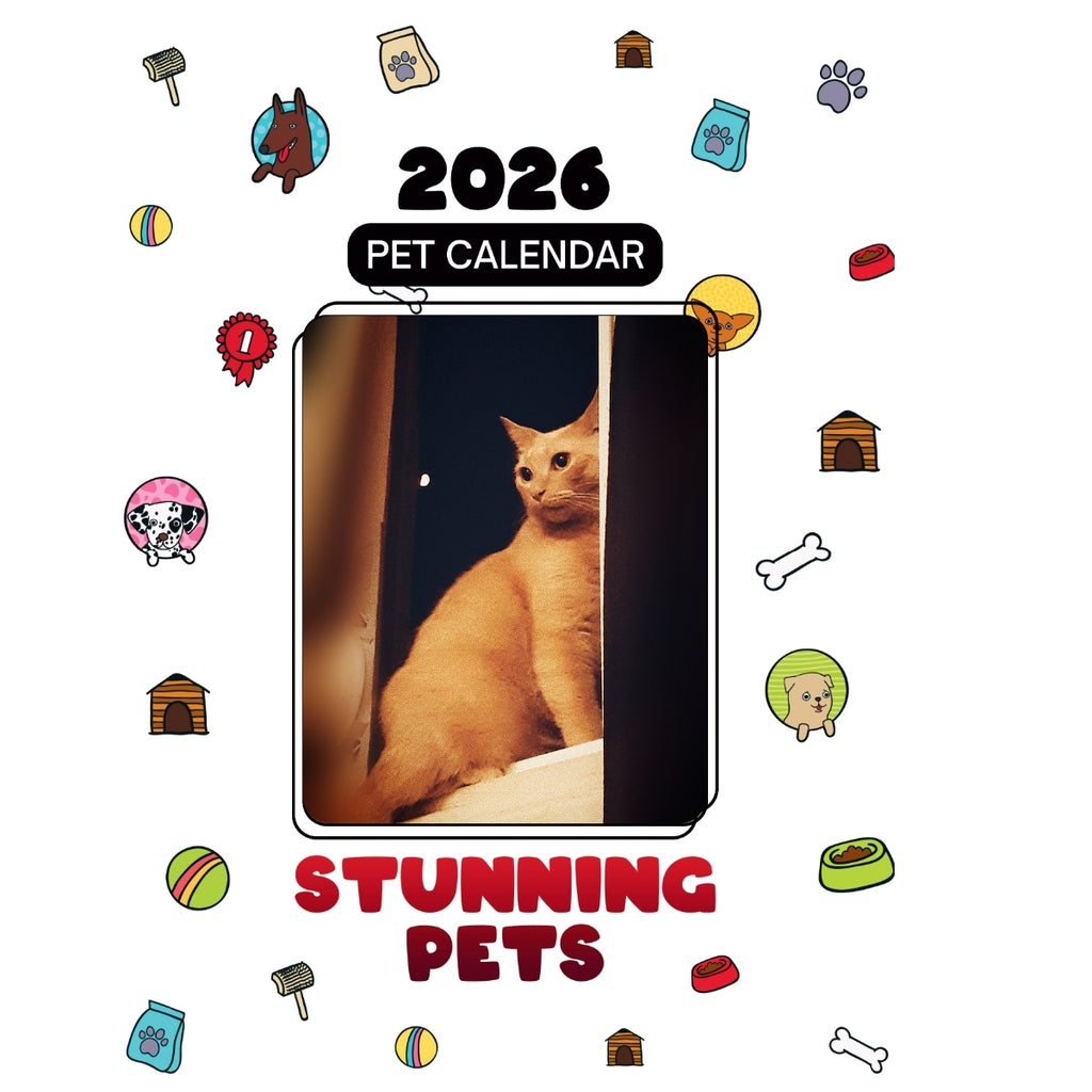 1 pet Headlines Stunning Pets: A 2026 Pet Calendar
