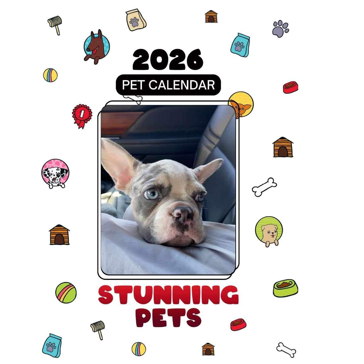 2Mil Headlines Stunning Pets: A 2026 Pet Calendar