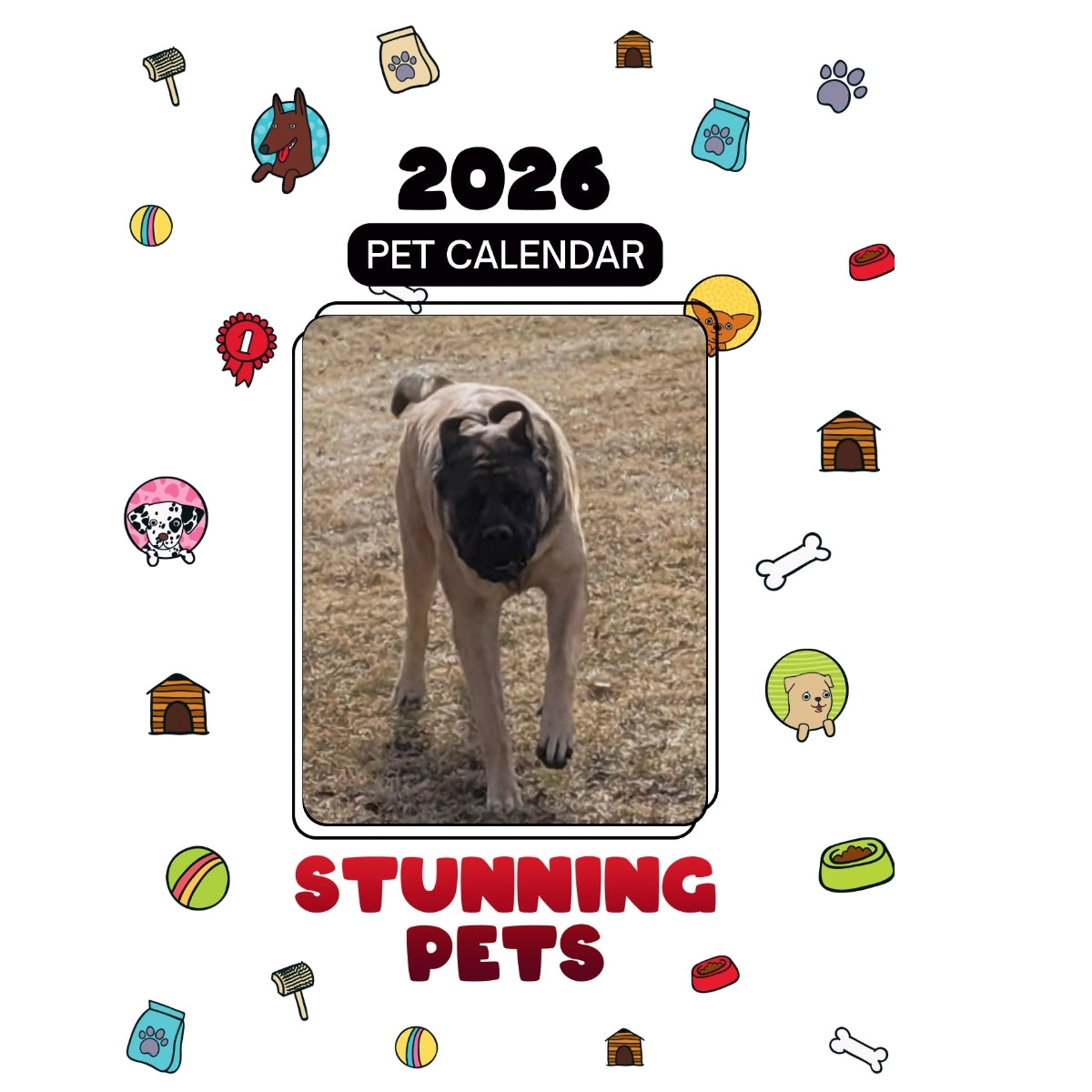Miles The Mastiff Headlines Stunning Pets: A 2026 Pet Calendar