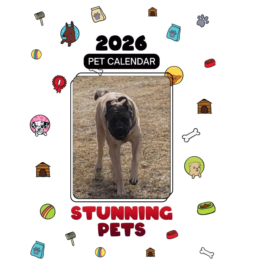Miles The Mastiff Headlines Stunning Pets: A 2026 Pet Calendar