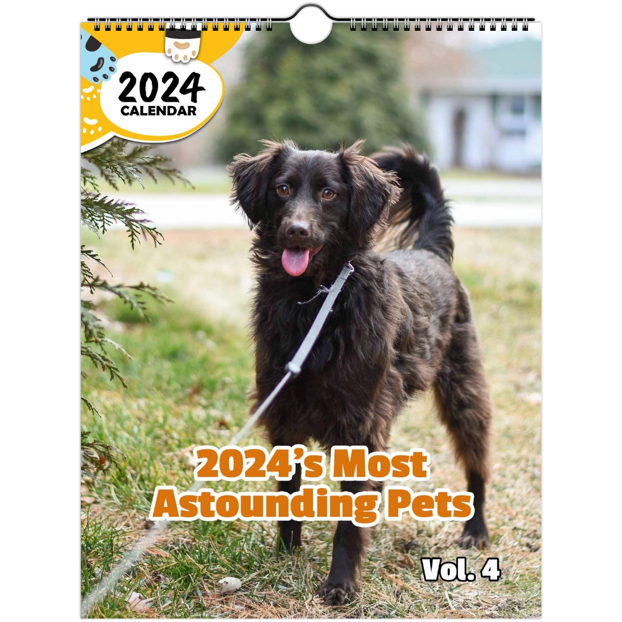 2024's Most Astounding Pets Volume Four: 2024 Wall Calendar (Published)