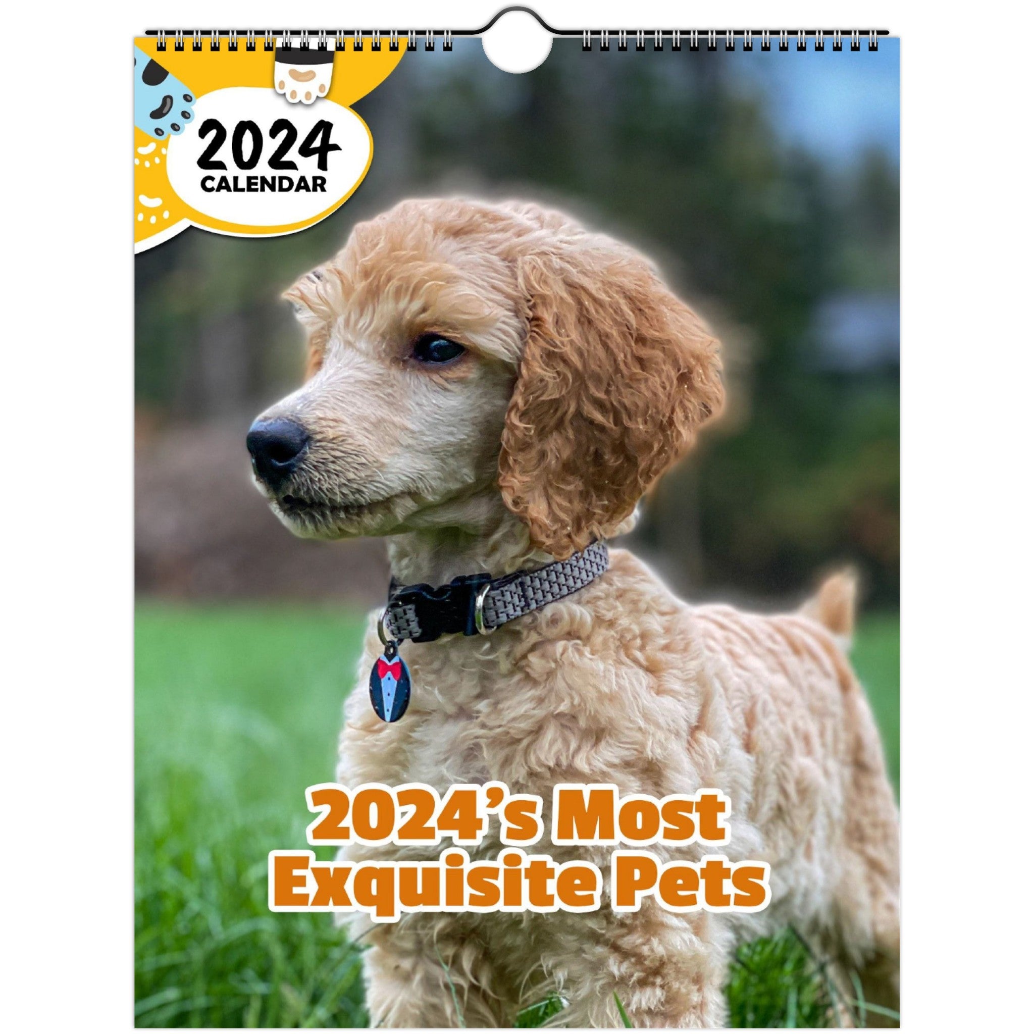 2024's Most Exquisite Pets: 2024 Wall Calendar (Published)