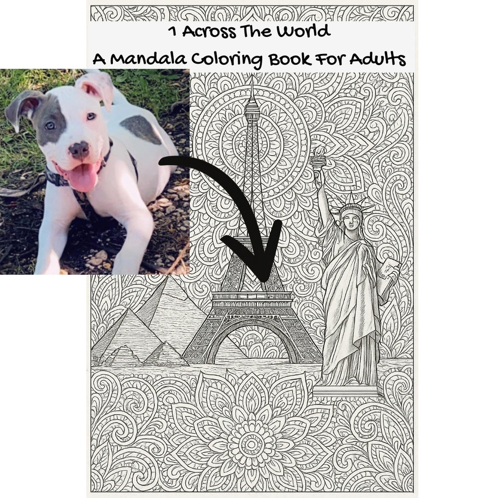 1 Across The World: A Mandala Coloring Book For Adults