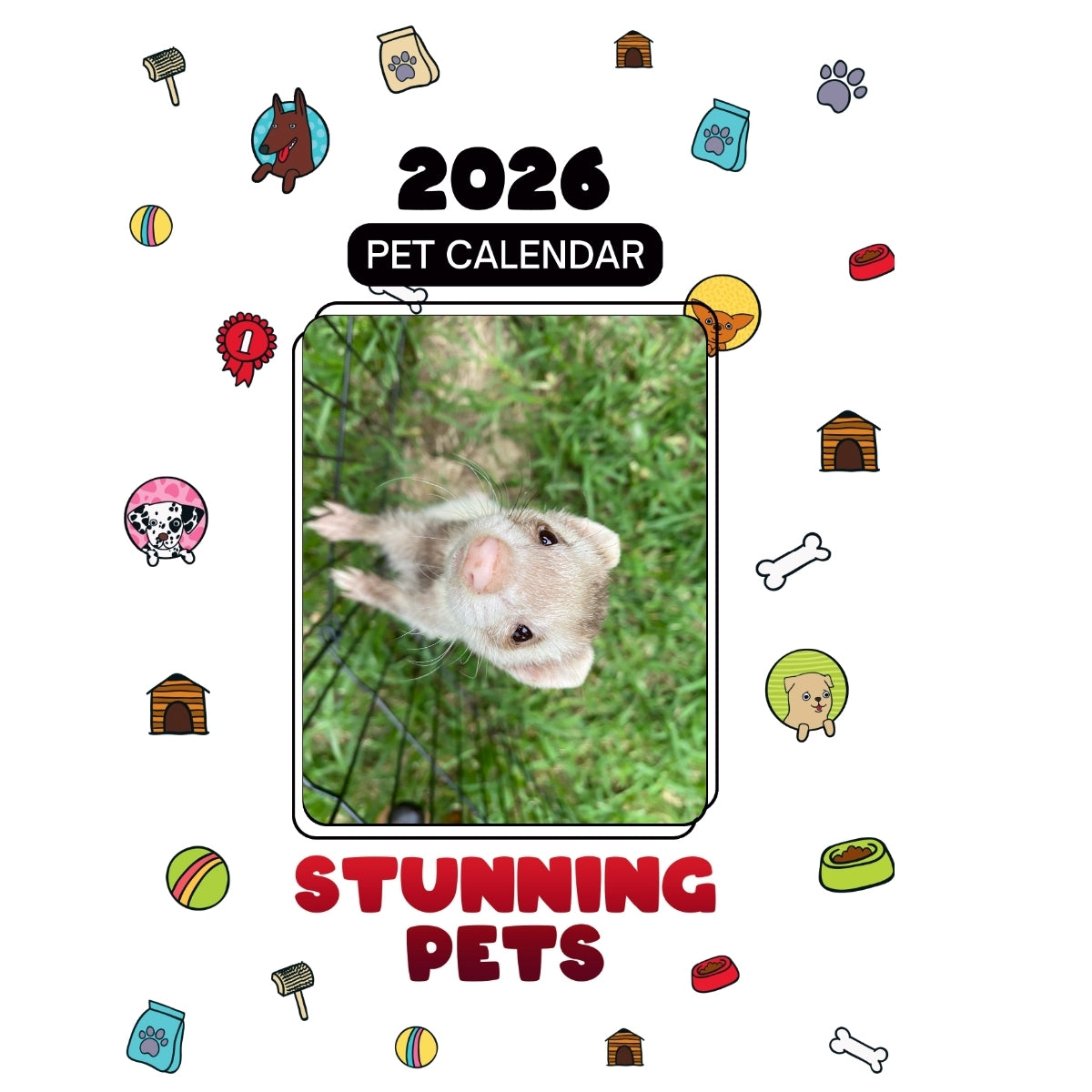 Momo the ferret Headlines Stunning Pets: A 2026 Pet Calendar