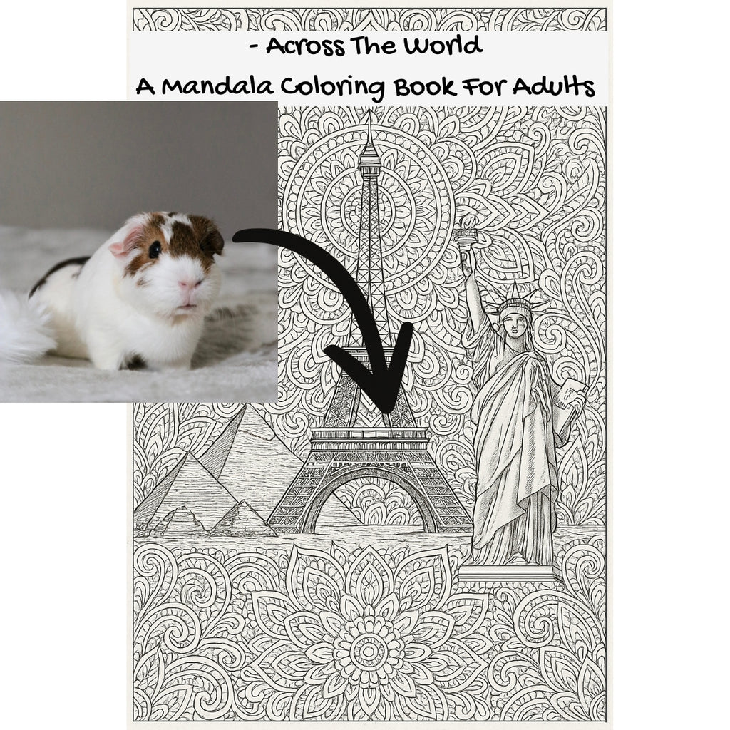 - Across The World: A Mandala Coloring Book For Adults
