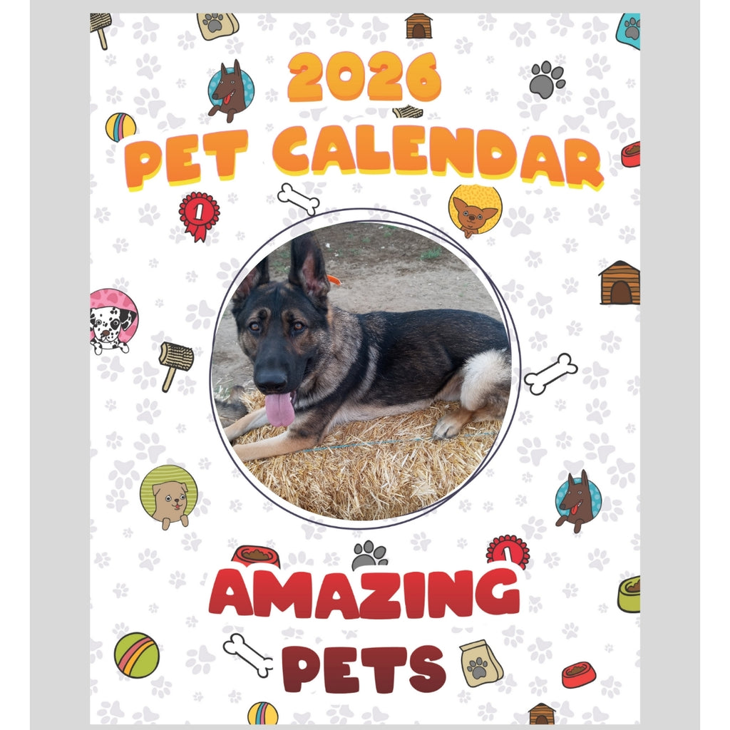 German shepherd  x Stars in Amazing Pets: A 2026 Pet Calendar