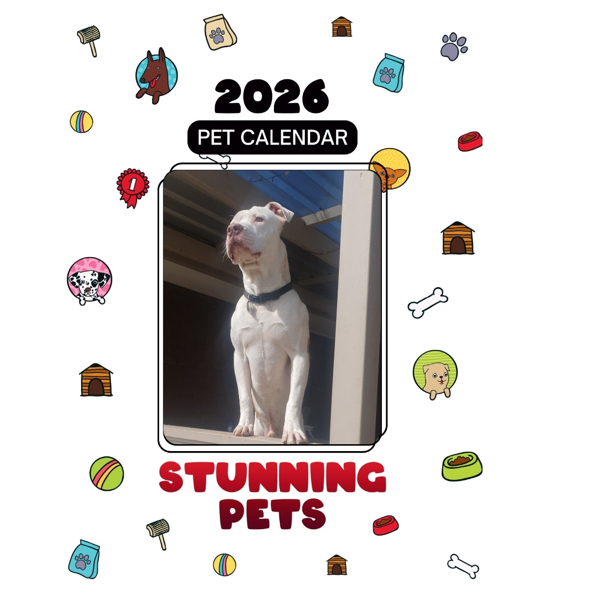 1 Headlines Stunning Pets: A 2026 Pet Calendar