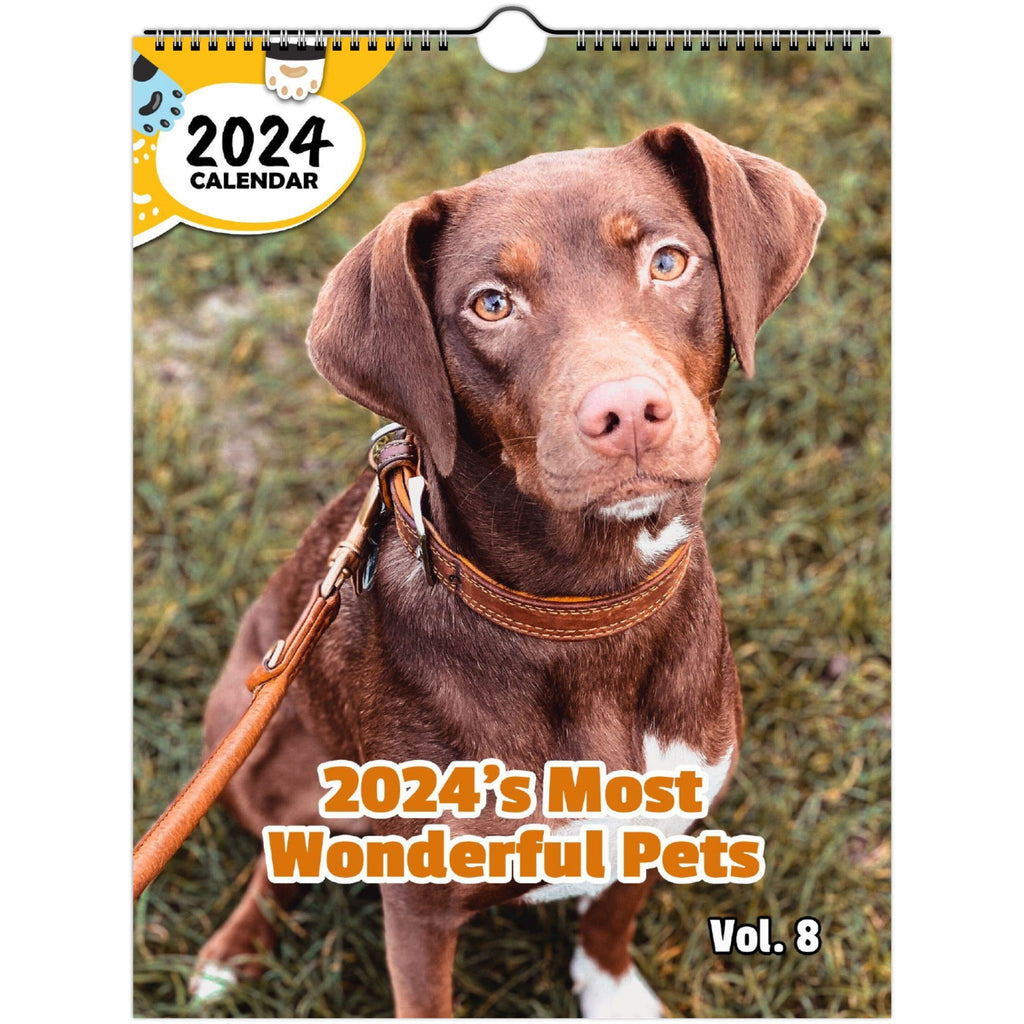 2024's Most Wonderful Pets Volume Eight: 2024 Wall Calendar (Published)