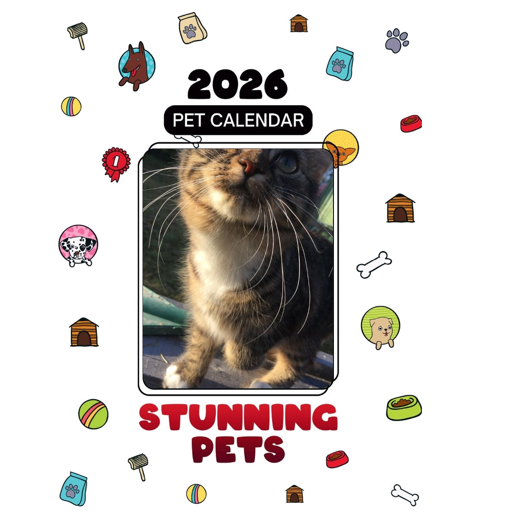 1 Headlines Stunning Pets: A 2026 Pet Calendar