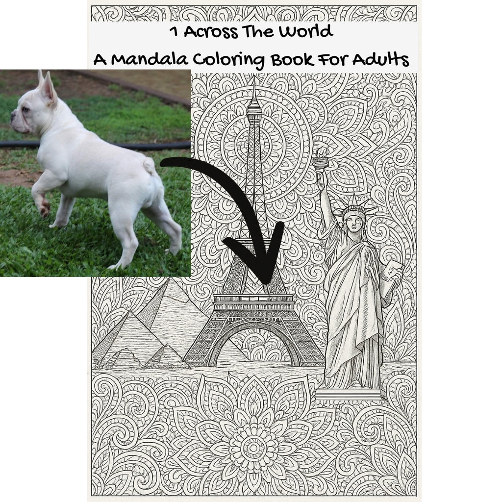 1 Across The World: A Mandala Coloring Book For Adults