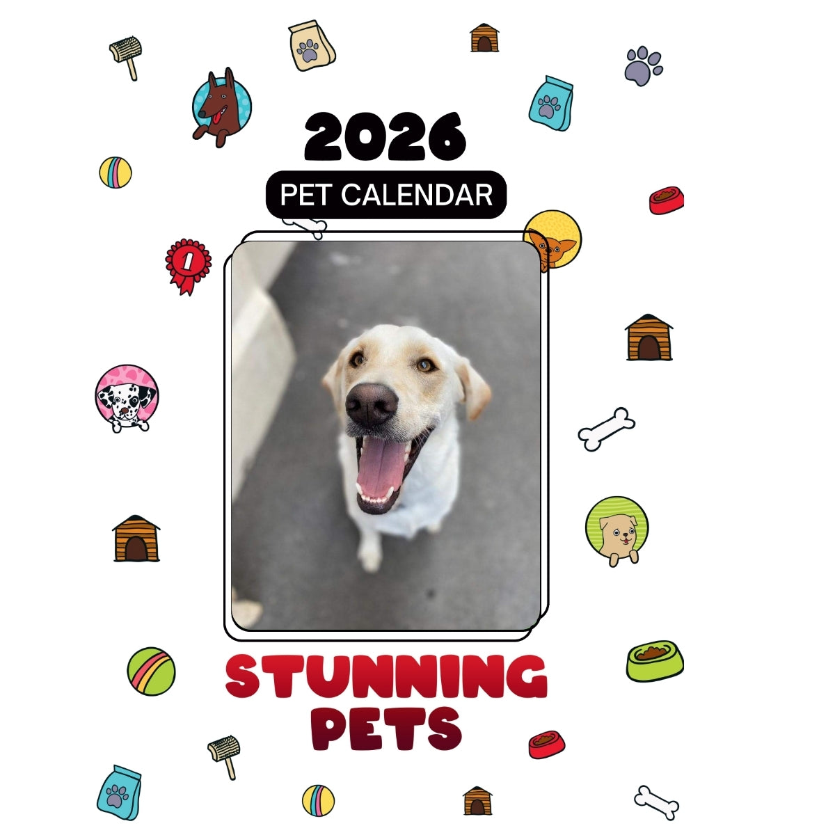 1 Headlines Stunning Pets: A 2026 Pet Calendar