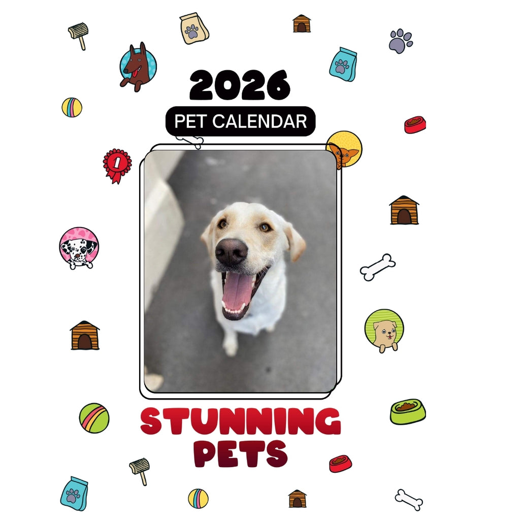 1 Headlines Stunning Pets: A 2026 Pet Calendar