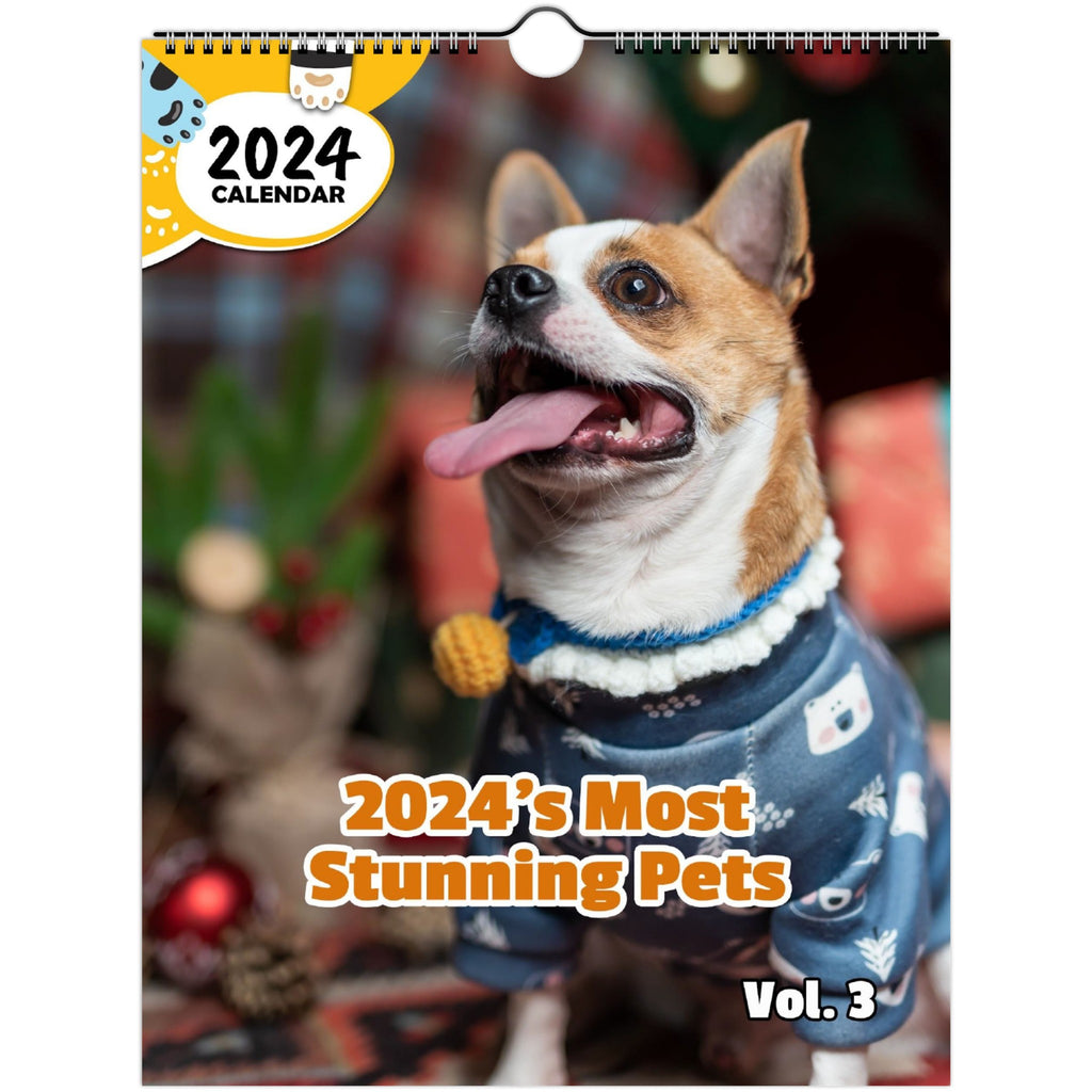 2024's Most Stunning Pets Volume Three: 2024 Wall Calendar (Published)