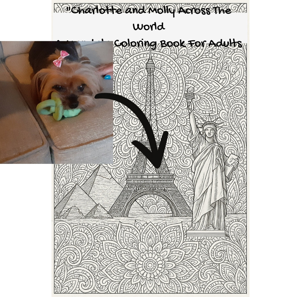 "Charlotte and Molly Across The World: A Mandala Coloring Book For Adults