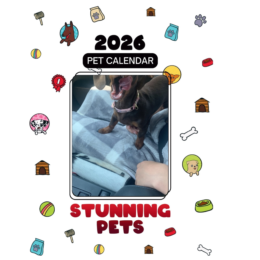 Minituare Dachshund Headlines Stunning Pets: A 2026 Pet Calendar