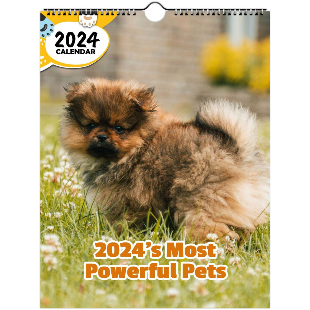 2024's Most Powerful Pets: 2024 Wall Calendar (Published)