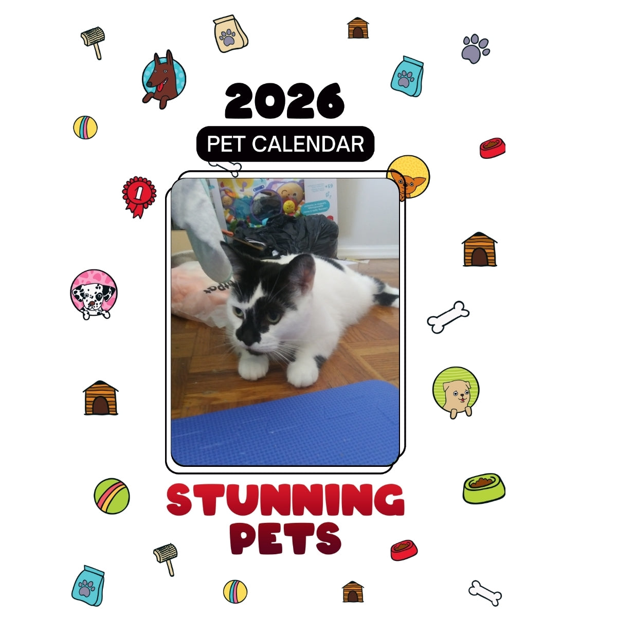 1 Headlines Stunning Pets: A 2026 Pet Calendar