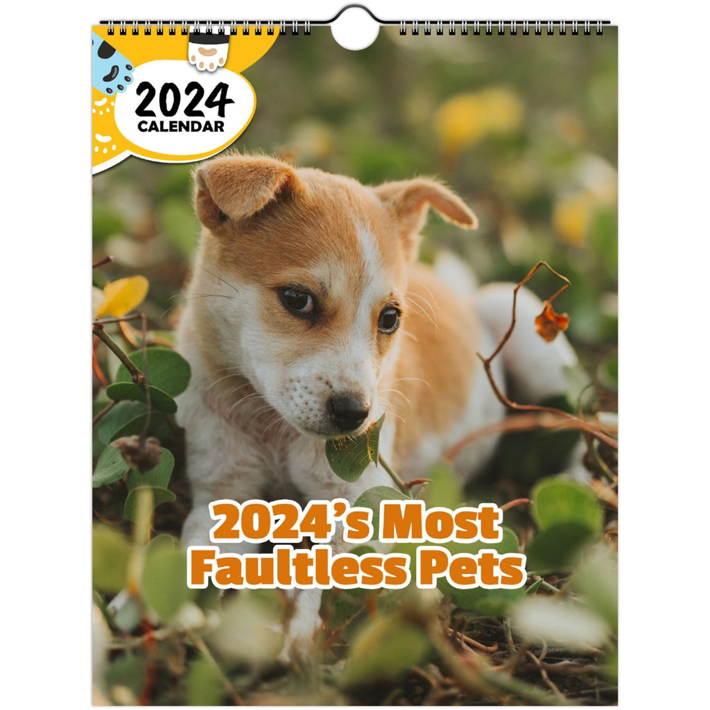 2024's Most Faultless Pets: 2024 Wall Calendar (Published)