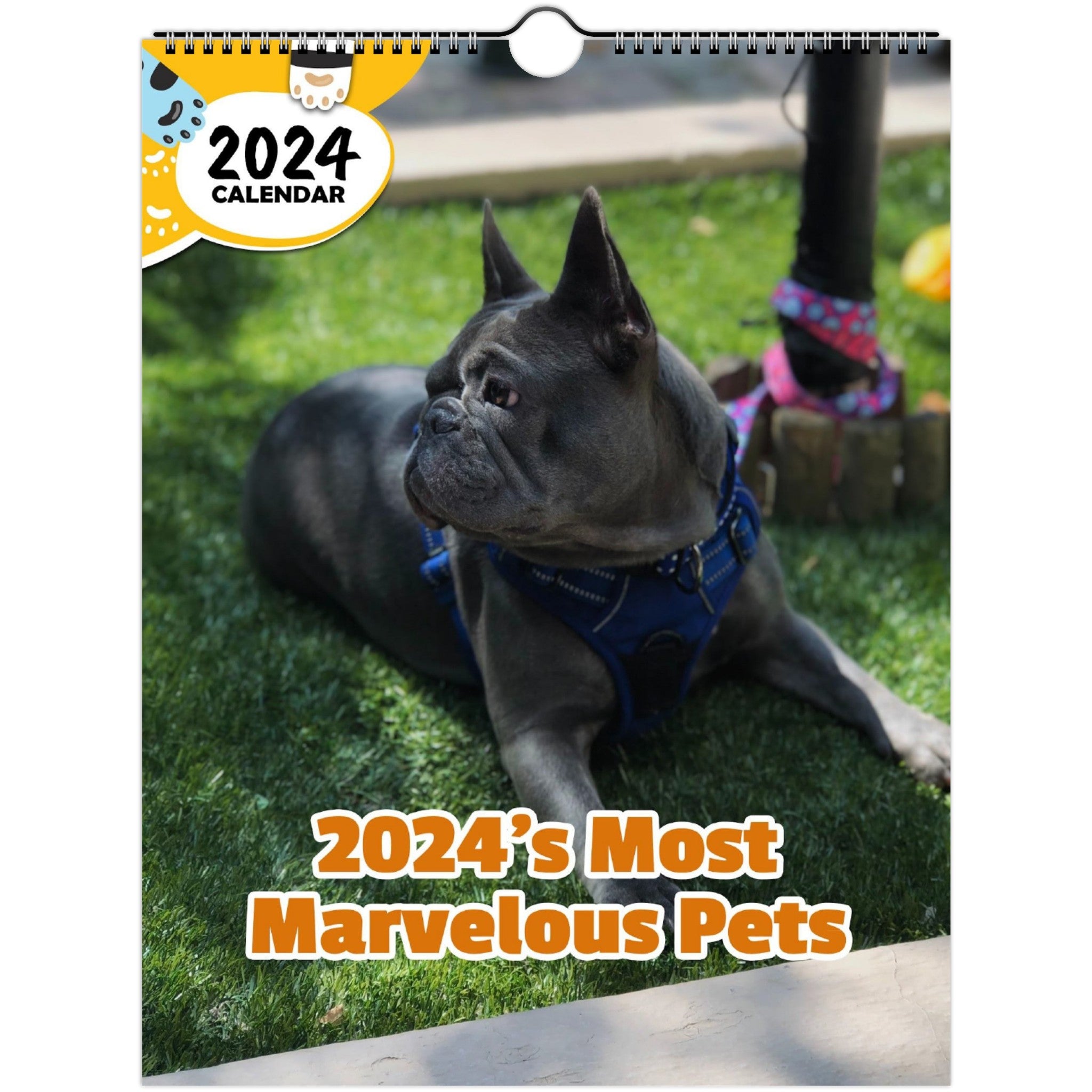 2024's Most Marvelous Pets: 2024 Wall Calendar (Published)