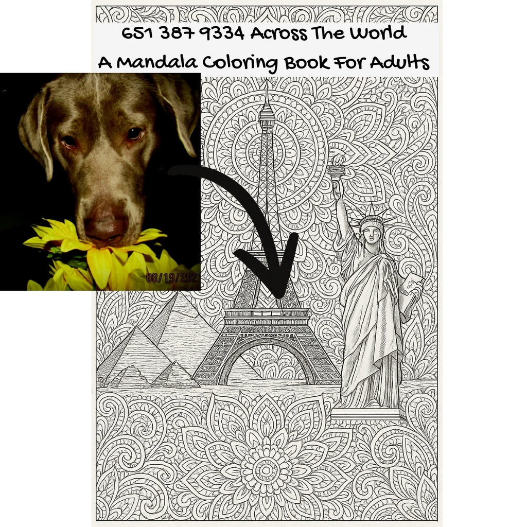 651 387 9334 Across The World: A Mandala Coloring Book For Adults