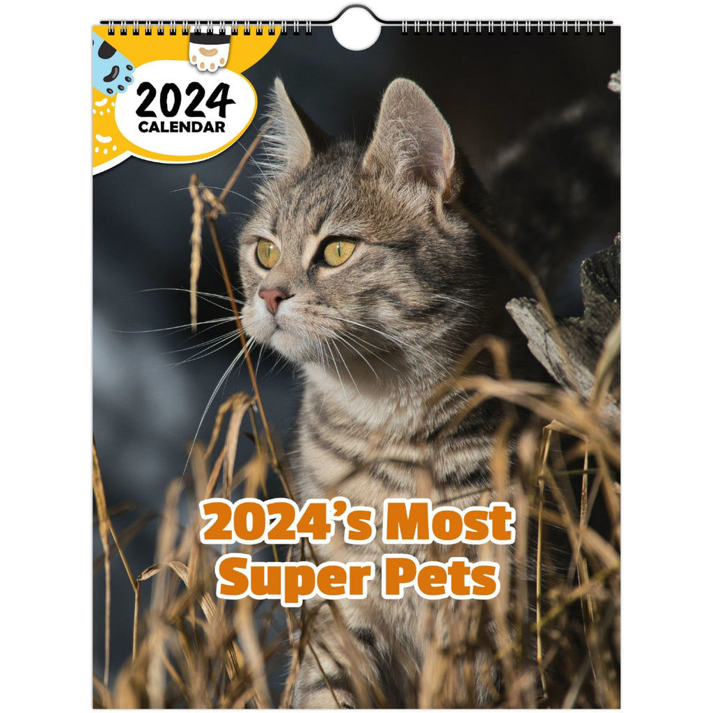 2024's Most Super Pets: 2024 Wall Calendar (Published)