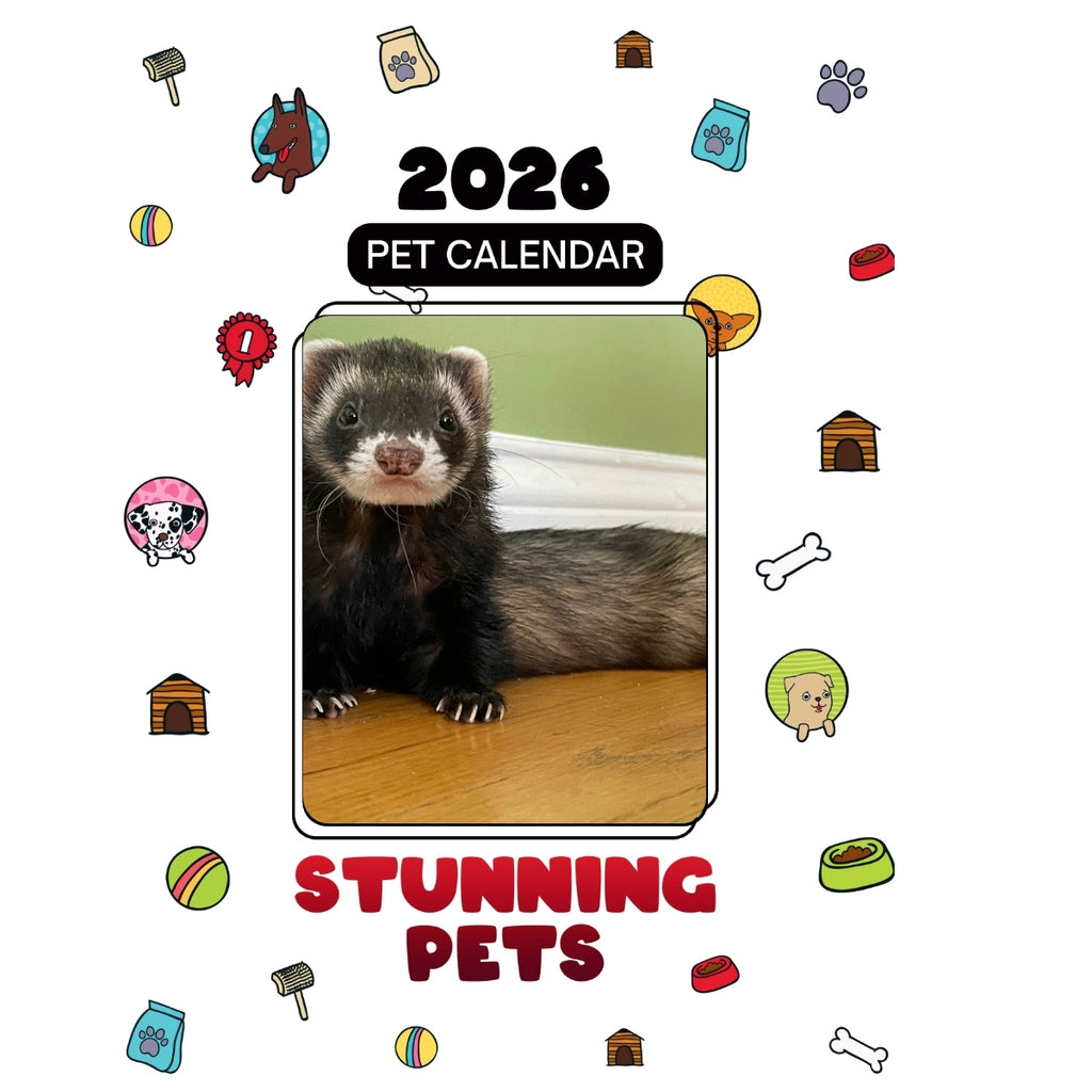 Oreo The Ferret Headlines Stunning Pets: A 2026 Pet Calendar