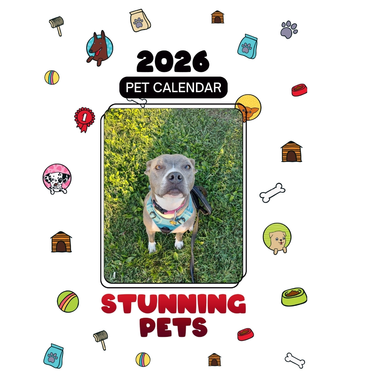 Ava Headlines Stunning Pets: A 2026 Pet Calendar