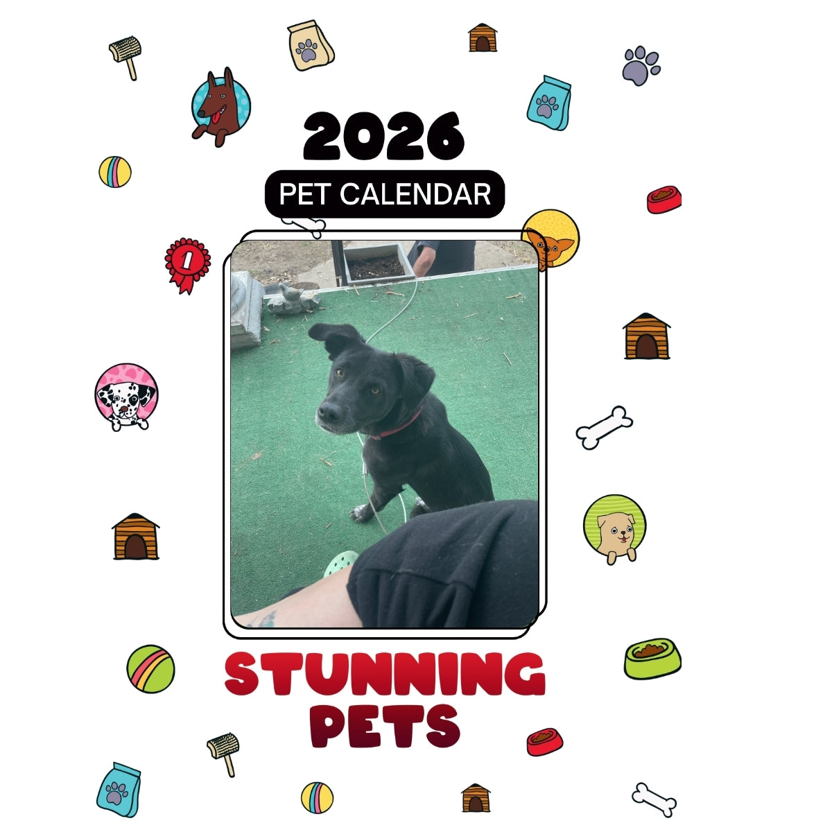 .Issy Headlines Stunning Pets: A 2026 Pet Calendar