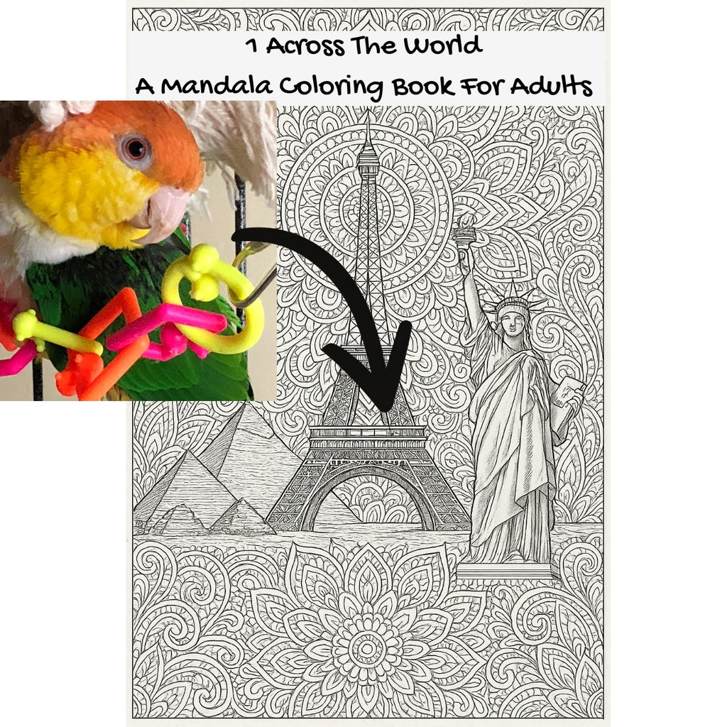 1 Across The World: A Mandala Coloring Book For Adults