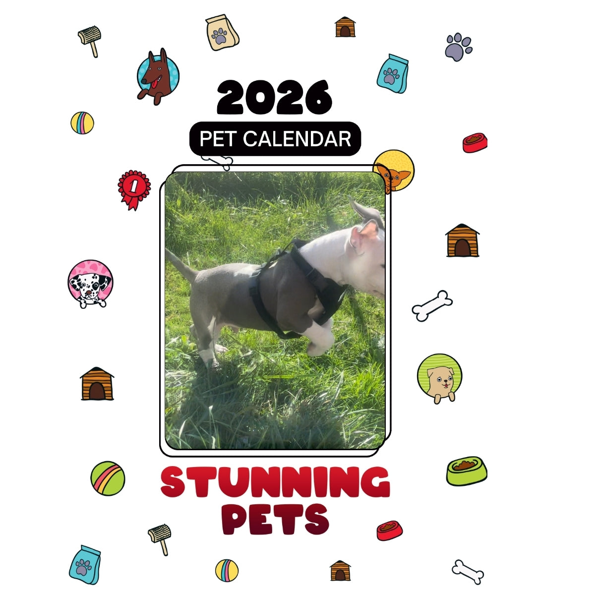 360-743-4790 Headlines Stunning Pets: A 2026 Pet Calendar