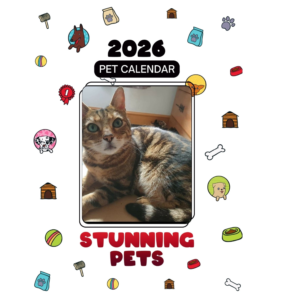 1 Headlines Stunning Pets: A 2026 Pet Calendar