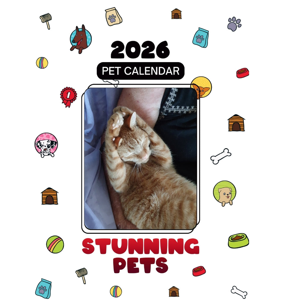 1 Headlines Stunning Pets: A 2026 Pet Calendar
