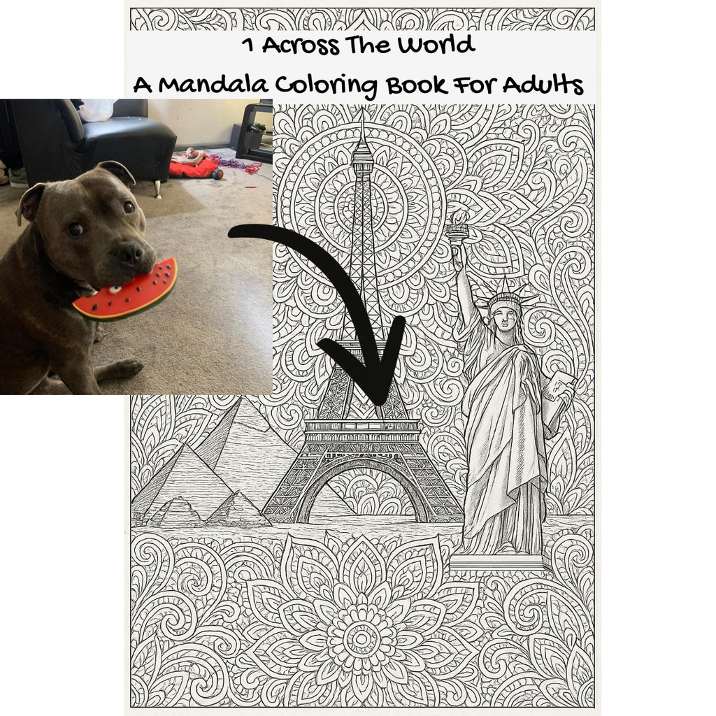 1 Across The World: A Mandala Coloring Book For Adults