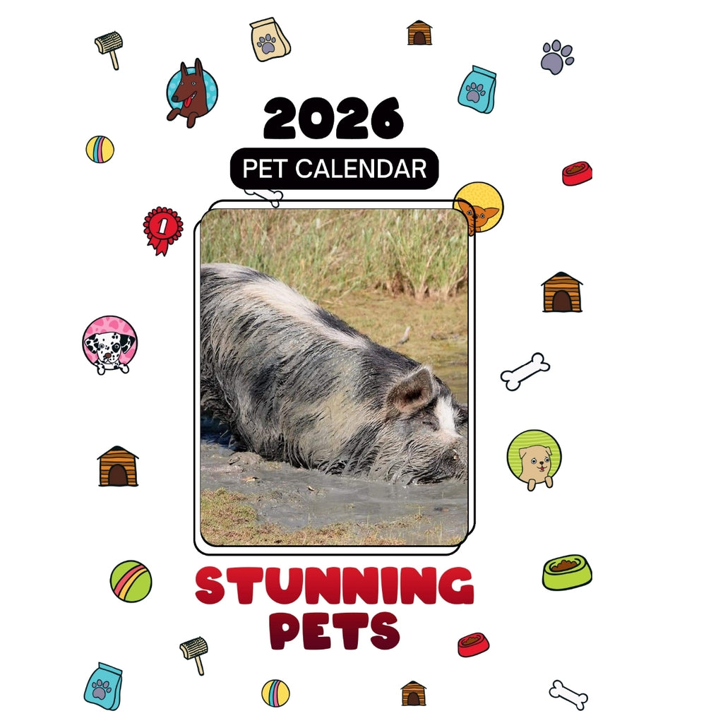 1 Headlines Stunning Pets: A 2026 Pet Calendar