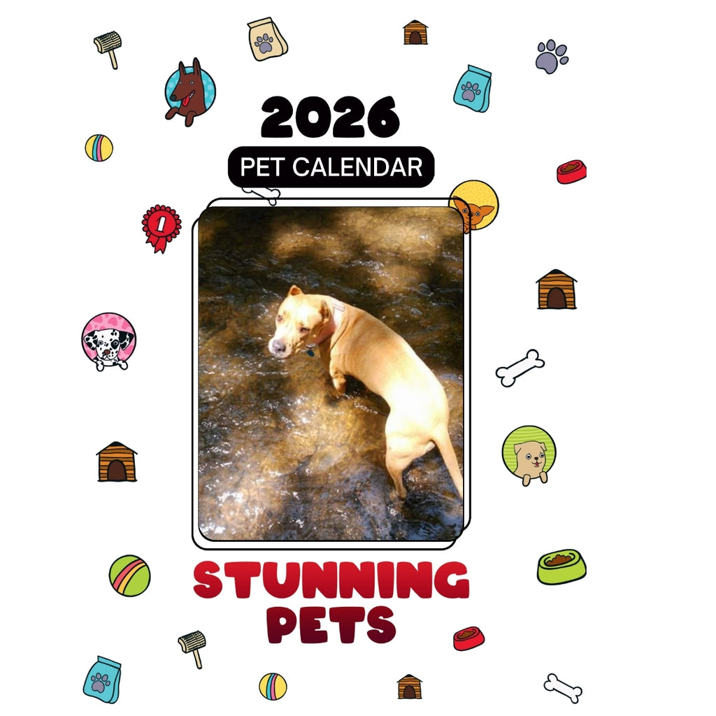 2Tone Headlines Stunning Pets: A 2026 Pet Calendar